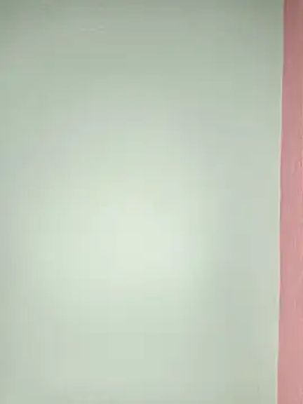 Starling_Zara