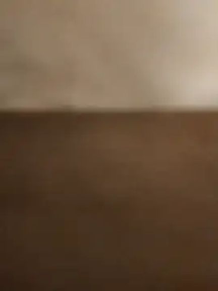 frenchsodomielover86