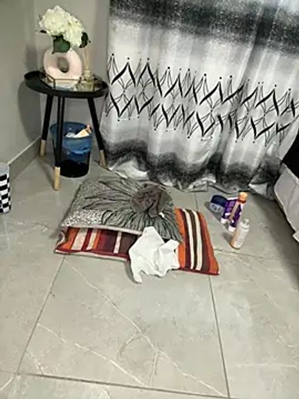 Nicole_bash