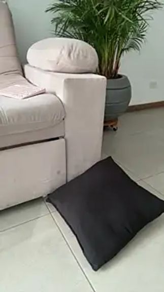 MiaPetit_