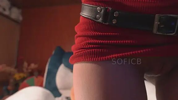sofi_sc