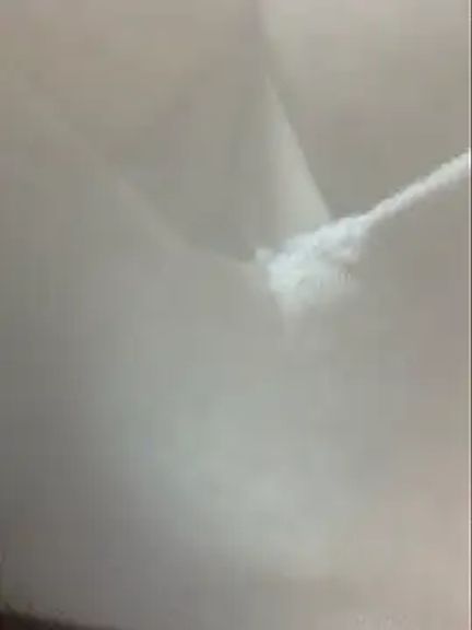 cataleyamyst