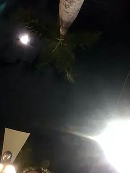 Sara_smiiith211