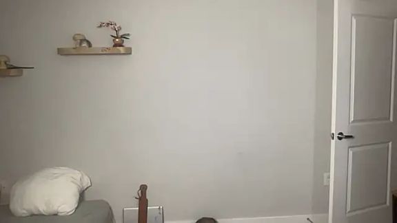 maddiliz