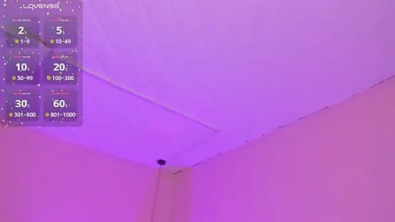 Kittyy_patitas_suaves