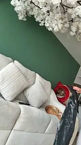 jesse_veraa_