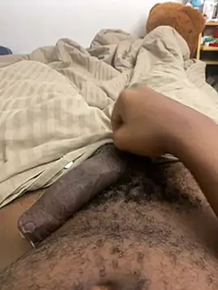 blackboy_51100