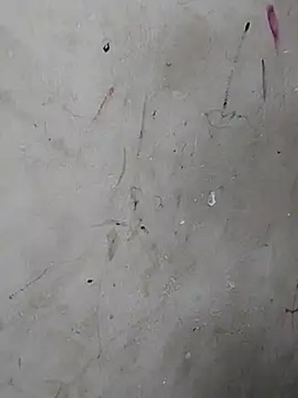 Rani_janam_