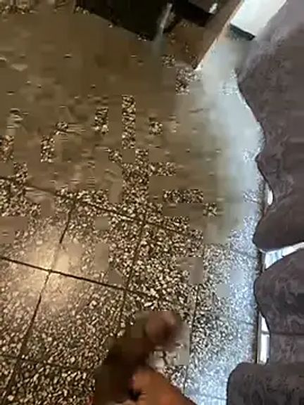 DurbanChocBBCforTheHunns