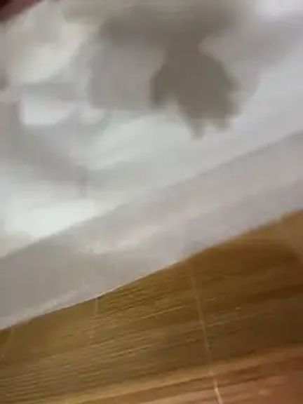 Nuomi6