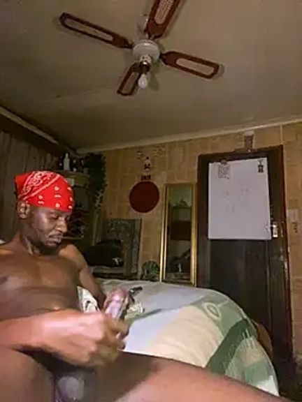 black_Man_dingo