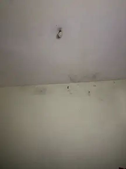 arabayla