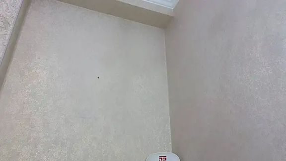 Diana_Moon_