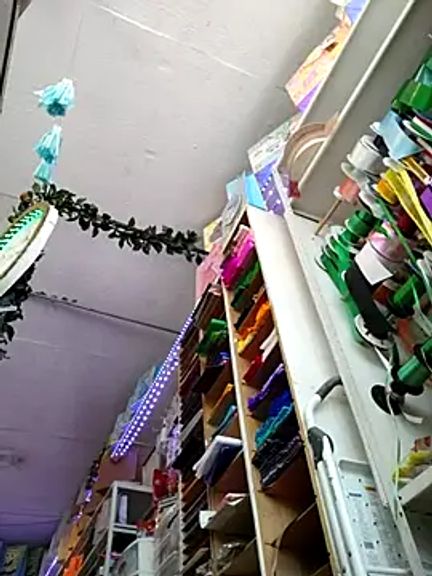 Mia_Novikov