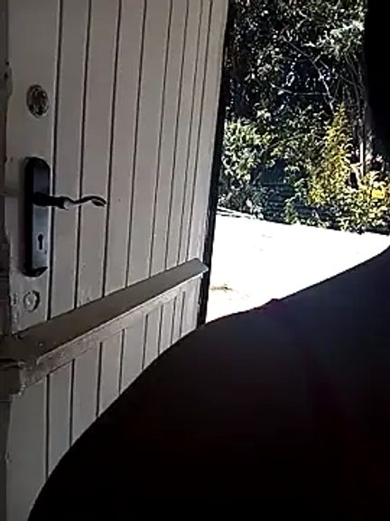 FreakyAngel3X