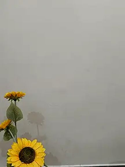 Tamil_Shalini_Lustyy