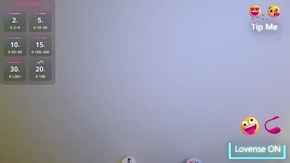 zhnzs
