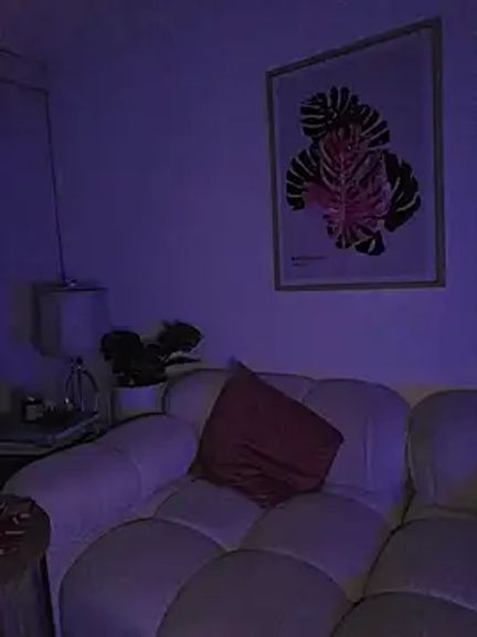 ColibriBlack