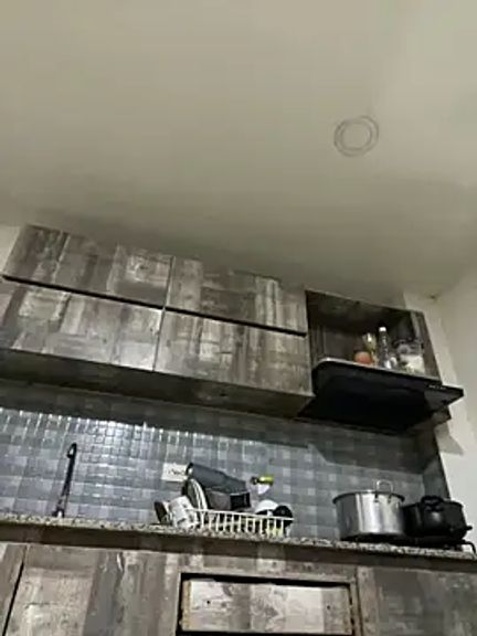 FOX_LATINA