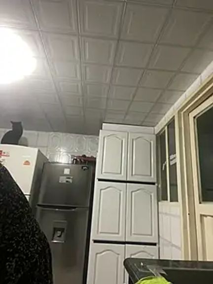 Freya_Artemisa