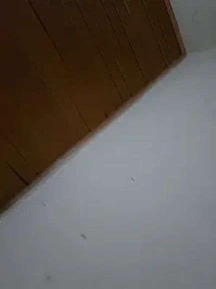Pedroyesidpinzon666