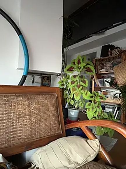 Angelene503