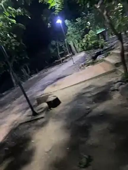 Datoka_adrenaline