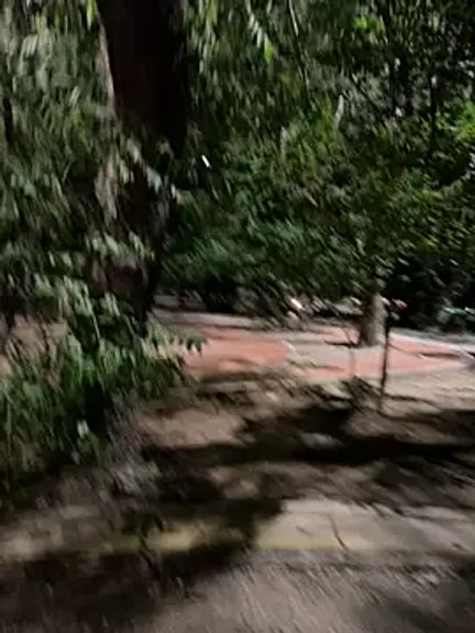 Datoka_adrenaline