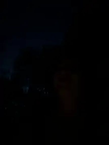 ViviVision99