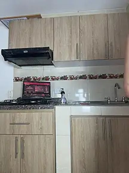 zui_lu
