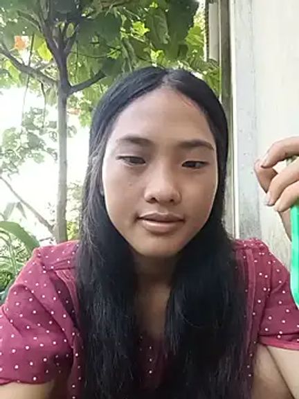 Hoa-tuylip