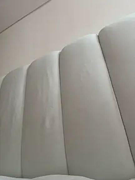 Megan_Rodrigo