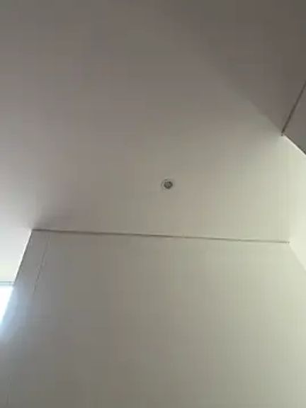 Megan_Rodrigo