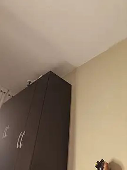 BellaDonna_16