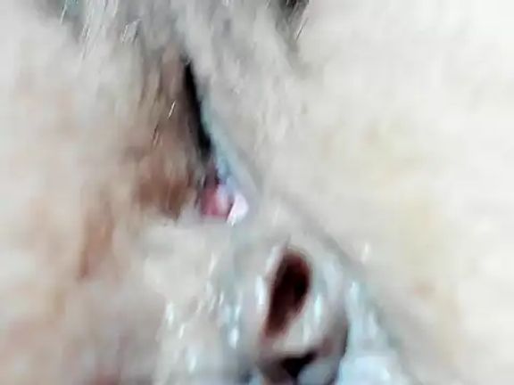 foxy-porn1
