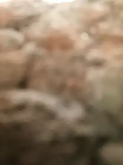 Hot_ras28