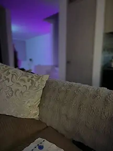 carolina__star