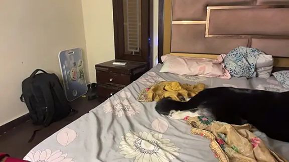 Harleenkaur_