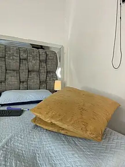amara_wet04