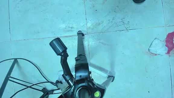 wild_little_bitch2026_x