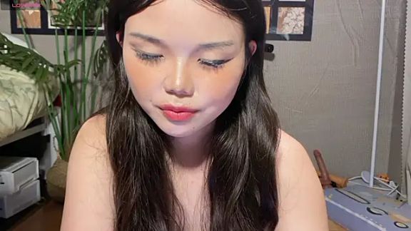 xiaosu22