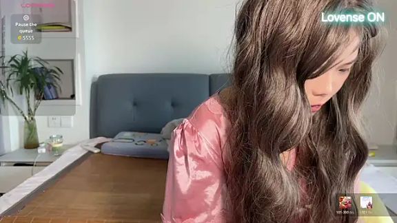 xiaosu22