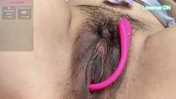 xiaosu22