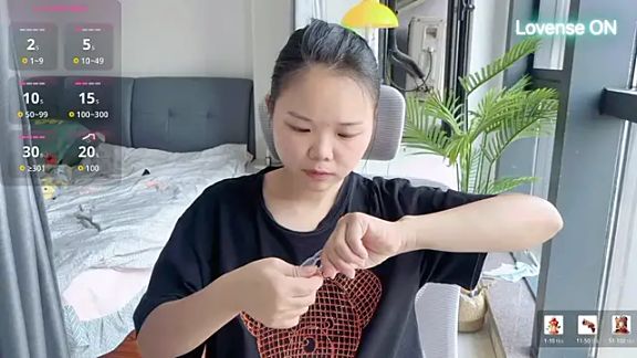 xiaosu22