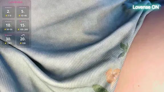xiaosu22