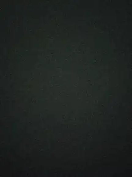 thebrownboi01