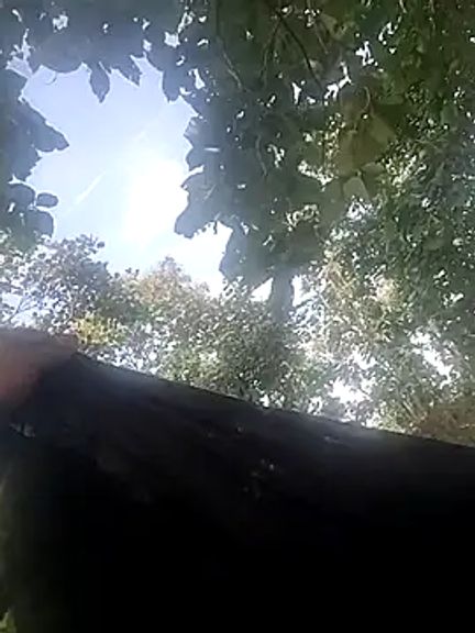 taniya0