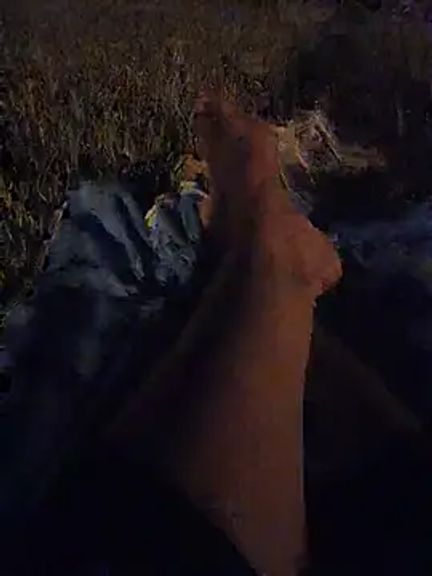 sex69soltana