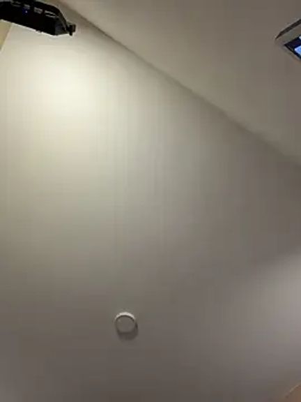 Megan_lu2