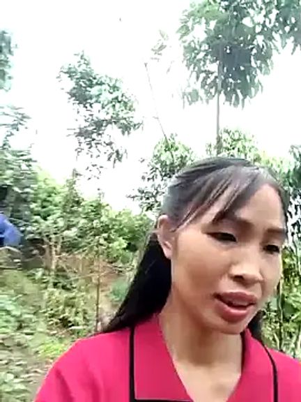 xiaogoal